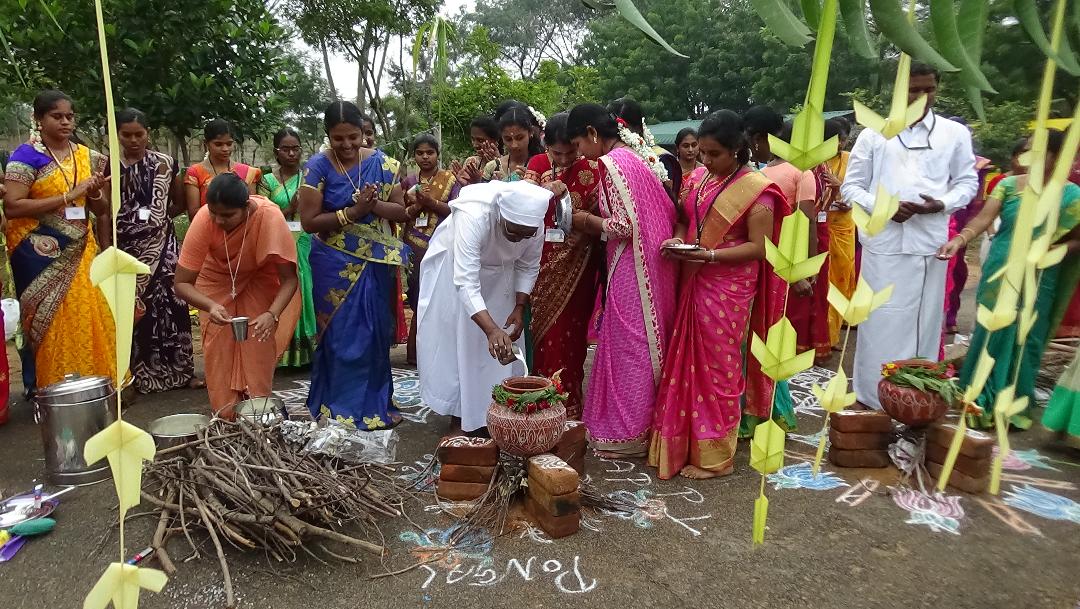 Pongal celebration